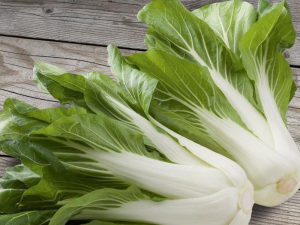 PAK-CHOI Bopak F1 - Pekinško zelje