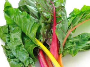 Blitva BRIGHT LIGHTS