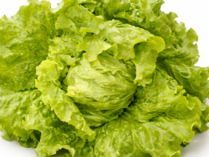 Solata EOLE - glavnata ledenka